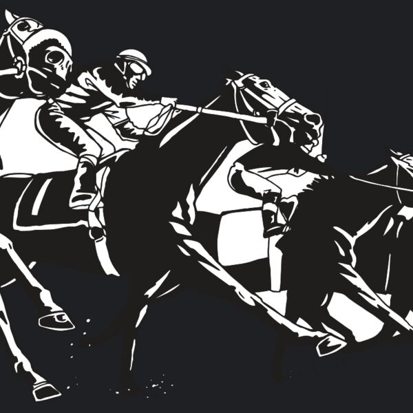 AR EQUEST 13 RC Thumbnail