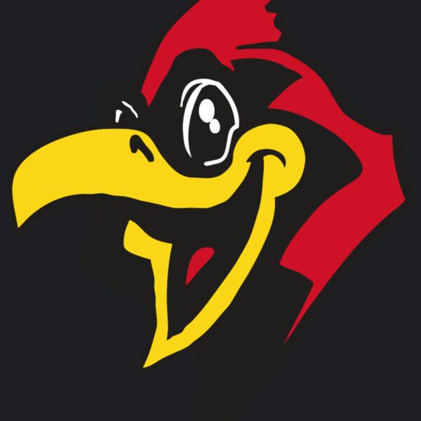 AR CARDINAL 36 RC Thumbnail