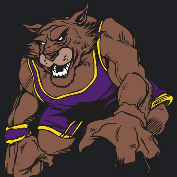 AR WILDCAT 23 RC Thumbnail