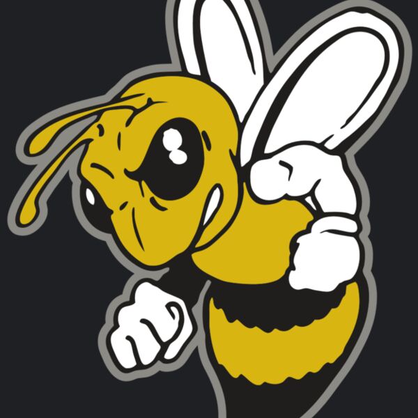 AR BEE 60 RC Thumbnail