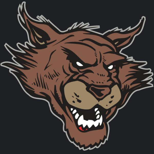 AR WILDCAT 11 RC Thumbnail