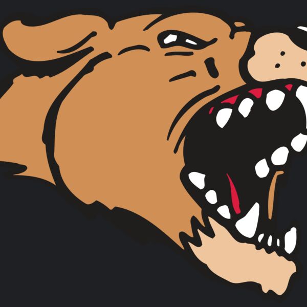 AR5 COUGAR 33 RQC Thumbnail