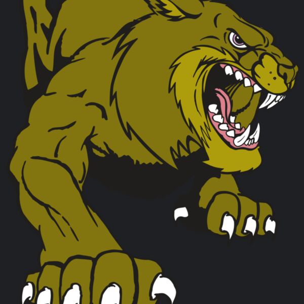 AR5 BOBCAT 24 RQC Thumbnail