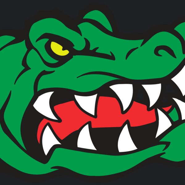 AR GATOR 19 RQC Thumbnail