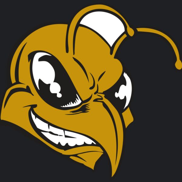 BAW BEE 18 RC Thumbnail