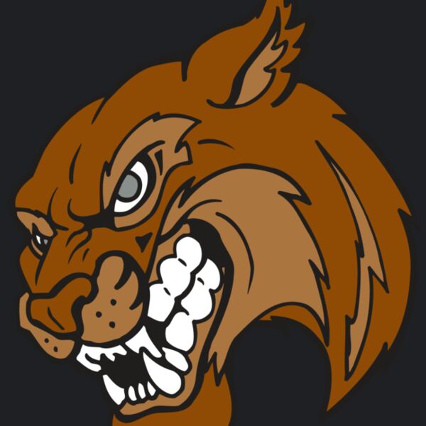 AR5 BOBCAT 07 RQC Thumbnail