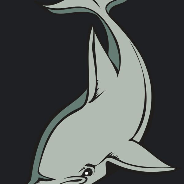 BAW DOLPHIN 01 RC Thumbnail