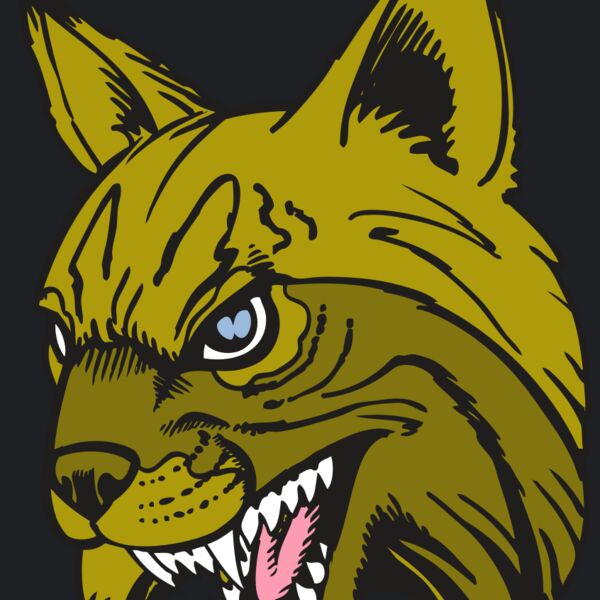 BAW BOBCAT 05 RC Thumbnail