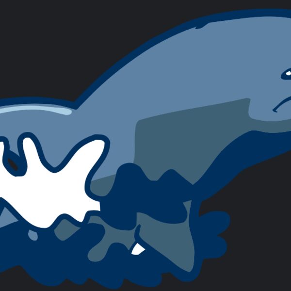 AR DOLPIN 10 RC Thumbnail