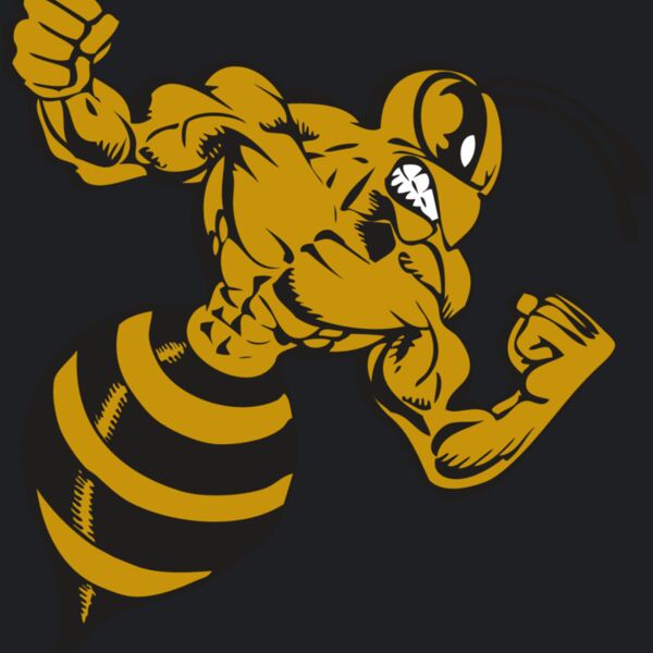 BAW BEE 01 RC Thumbnail