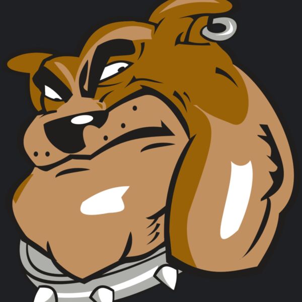 BULLDOG HD0501 RQC Thumbnail