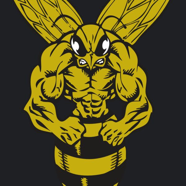 BAW BEE 06 RC Thumbnail