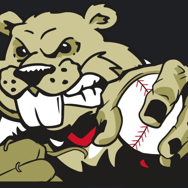 AR4 BEAVER 06 RQC Thumbnail