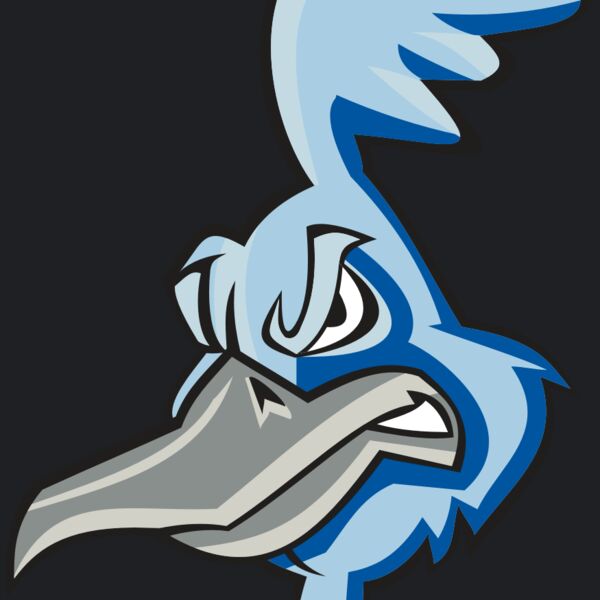 ROADRUNNER HD0501 RQC Thumbnail