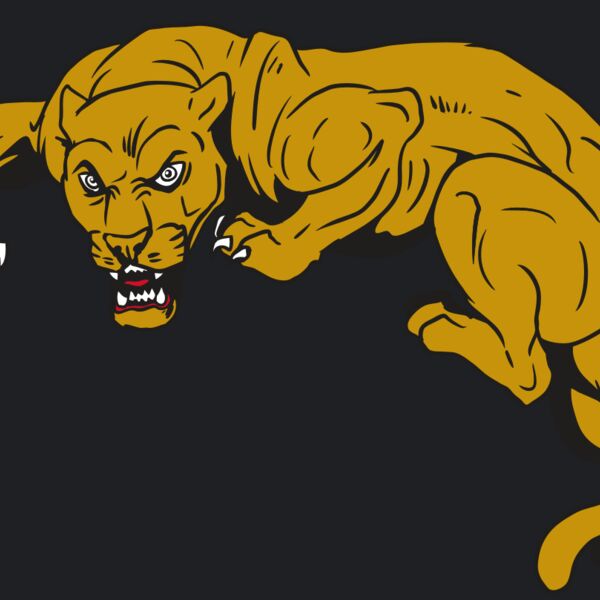 AR10 PANTHER 02 RQC Thumbnail