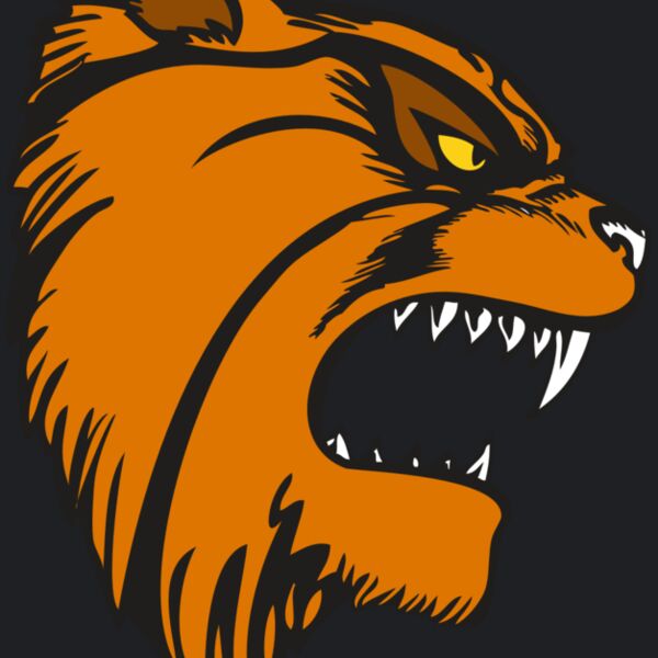 BAW WILDCAT 08 RC Thumbnail