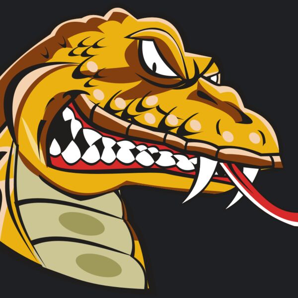 SNAKE HD0504 RQC Thumbnail