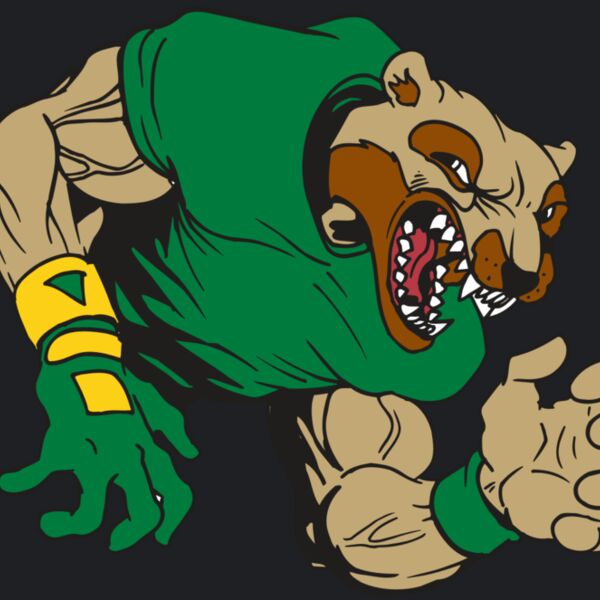 AR5 Wolverine 17 RQC Thumbnail