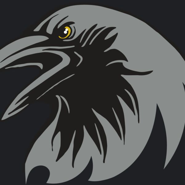 AR31 RAVEN 02 RQC Thumbnail