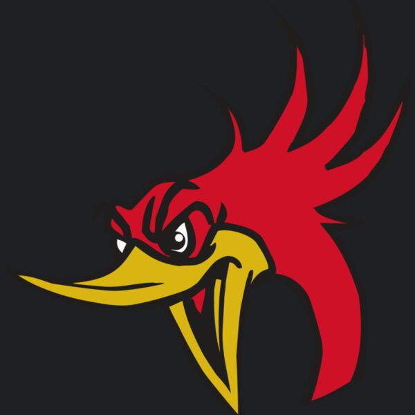 AR31 ROADRUNNER 02 RQC Thumbnail