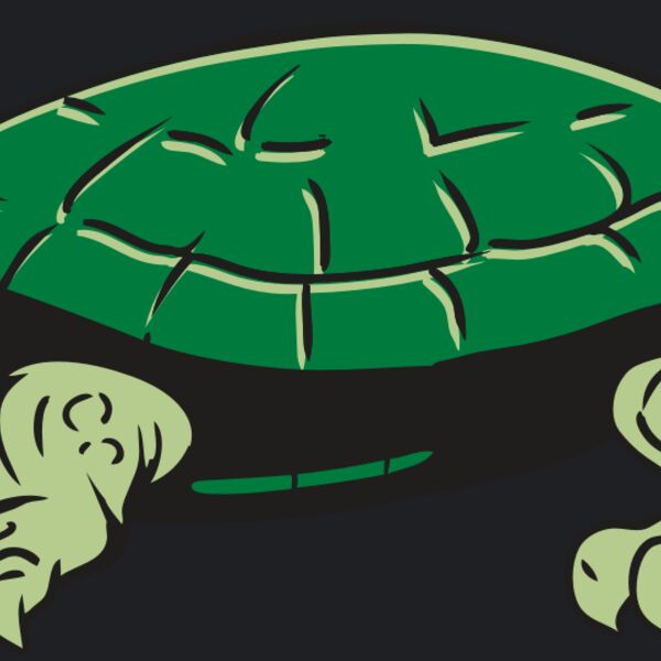 AR32 TURTLE 01 RQC Thumbnail