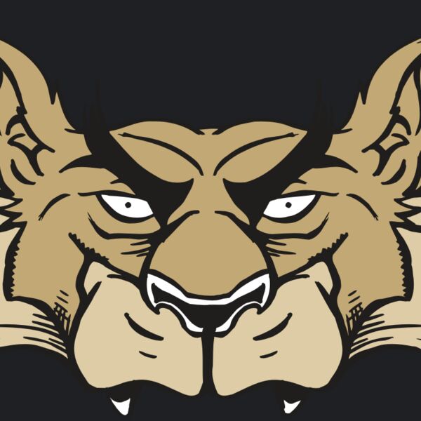 AR5 Wolf 28 RQC Thumbnail