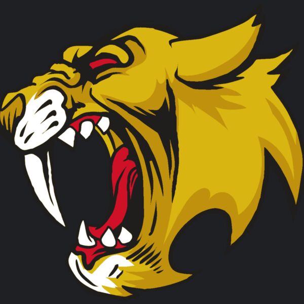 AR30 SABER 04 RQC Thumbnail