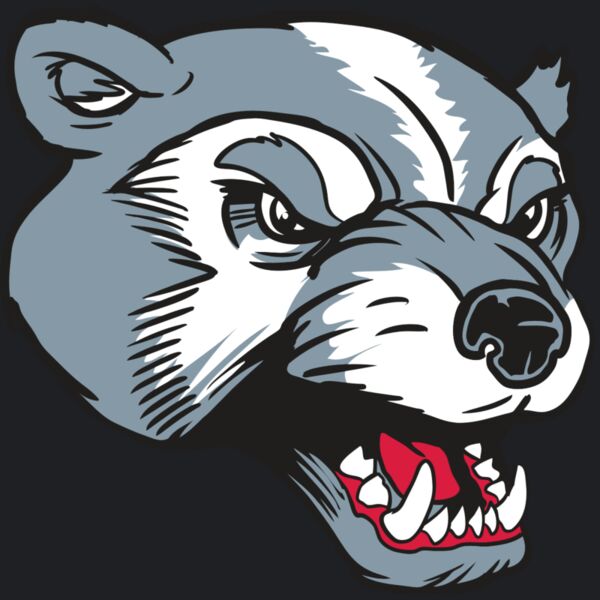 AR13 WLVRN 02 RQC Thumbnail