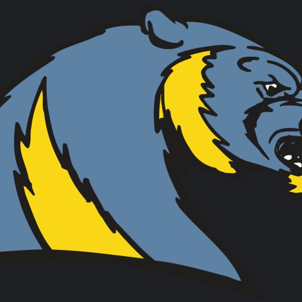 AR5 Wolverine 20 RQC Thumbnail