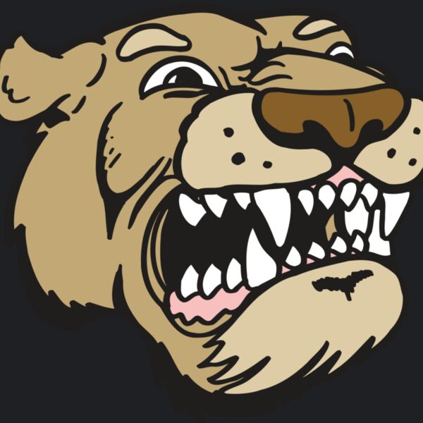 AR5 COUGAR 04 RQC Thumbnail