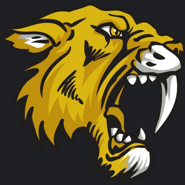 AR30 SABER 03 RQC Thumbnail