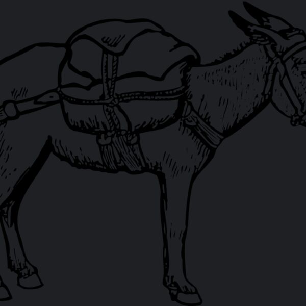 BURRO012 Thumbnail