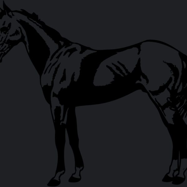 HORSE018 Thumbnail