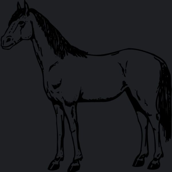 HORSE021 Thumbnail