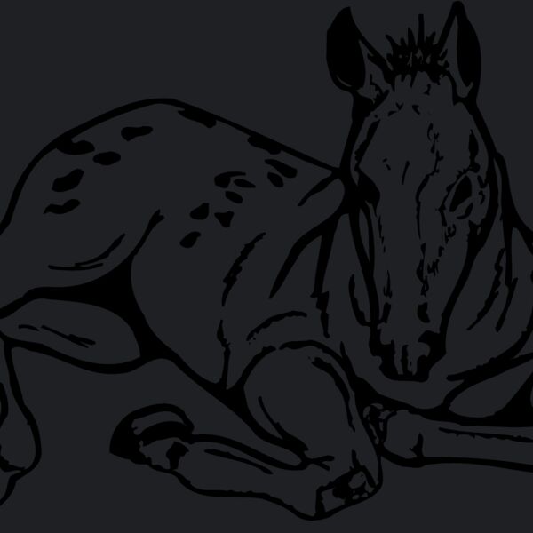 HORSE042 Thumbnail