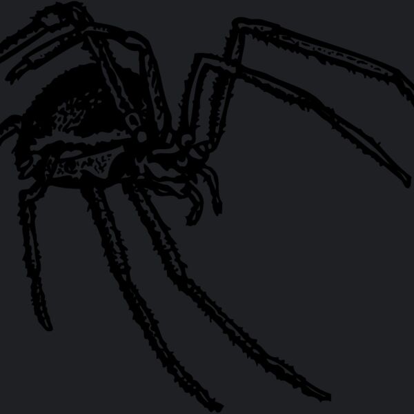 SPIDER01 Thumbnail